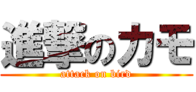 進撃のカモ (attack on bird)