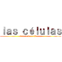 ｌａｓ ｃéｌｕｌａｓ (Valeria Rojas Brenes)