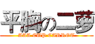 平胸の二萝 (AAA CUP CARROT)