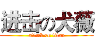 进击の犬薇 (attack on titan)