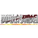 勇敢的珊姐 (attack on titan)