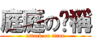 庭庭の咖稱 (attack on titan)