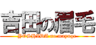 吉田の眉毛 (YOSHIDA no mayuge)