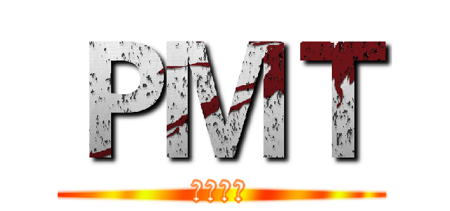 ＰＭＴ (等额本息)