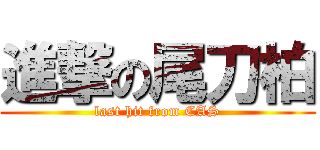 進撃の尾刀柏 (last hit from CAS)