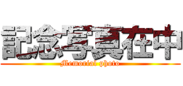 記念写真在中 (Memorial photo)