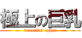 極上の巨乳 (beautiful oppai)