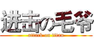 进击の毛爷 (attack on titan)
