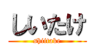 しいたけ (shiitake)