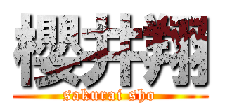 櫻井翔 (sakurai sho)