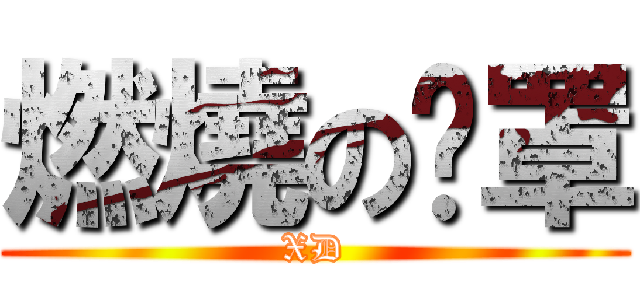 燃燒の奶罩 (XD)