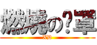 燃燒の奶罩 (XD)
