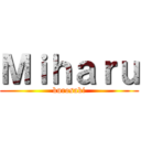 Ｍｉｈａｒｕ (kurosaki)