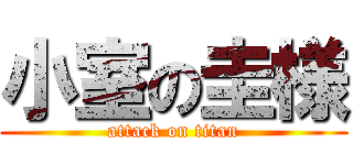 小室の圭様 (attack on titan)
