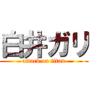 白井ガリ (attack on titan)