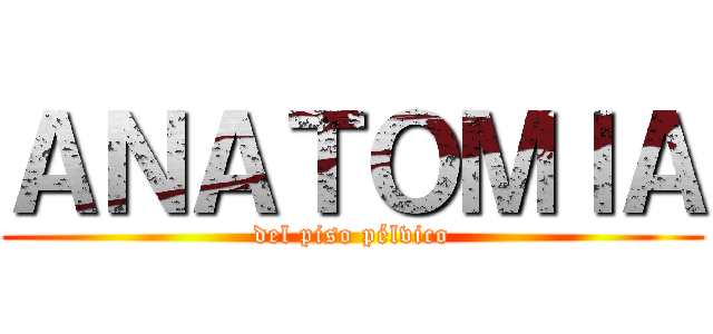 ＡＮＡＴＯＭＩＡ (del piso pélvico)
