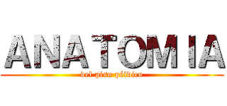 ＡＮＡＴＯＭＩＡ (del piso pélvico)