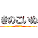 きのこいぬ (きじょこいぬ)