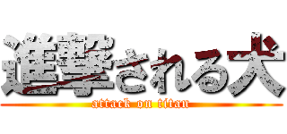 進撃される犬 (attack on titan)