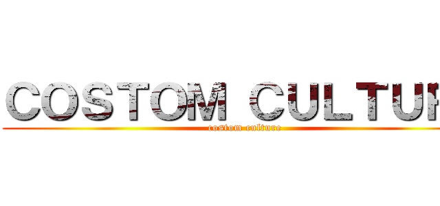 ＣＯＳＴＯＭ ＣＵＬＴＵＲＥ (costom culture)