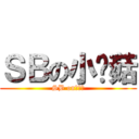 ＳＢの小蘑菇 (SB on小蘑菇)