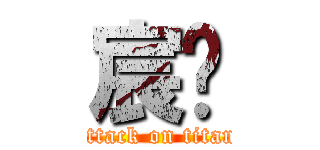 宸瑋 (attack on titan)