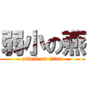 弱小の燕 (attack on titan)