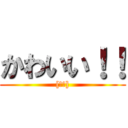 かわいい！！ ([翔太])