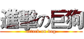 進擊の巨狗 (attack on dog)