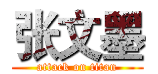 张文墨 (attack on titan)