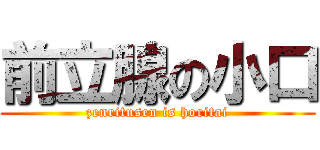 前立腺の小口 (zenritusen is horitai)