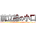 前立腺の小口 (zenritusen is horitai)