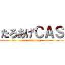 たろあげＣＡＳ (cas of taroage)