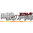 叫我の阿峰 (afeng)