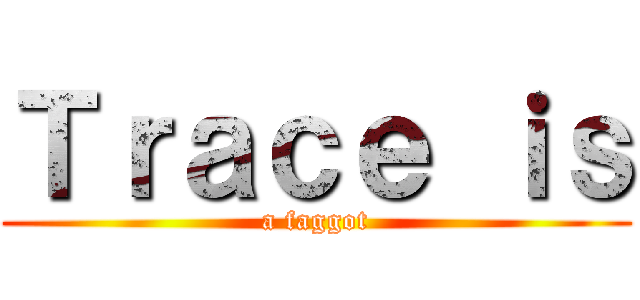 Ｔｒａｃｅ ｉｓ (a faggot)