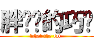 胖嘟嘟的巧歆 (what the fat )