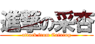 進撃の采杏 (attack from Caixing)