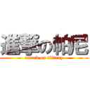 進撃の帕尼 (attack on tiffany)