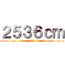 ２５３６ｃｍ (ｃ＿９０８ｍ)