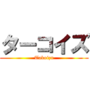 ターコイズ (Takoizu)