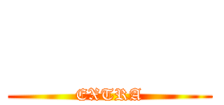        (EXTRA)