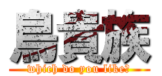 鳥貴族 (which do you like?)