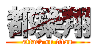 都築翔 (attack on titan)