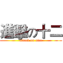 進擊の十二 (attack on nice)
