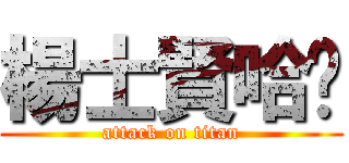 楊士賢哈囉 (attack on titan)