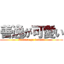 善逸が可愛い (Zenitsu ga kawaii)