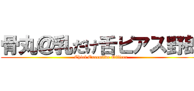 骨丸＠乳だけ舌ピアス野郎 (Chief Executive Officer)