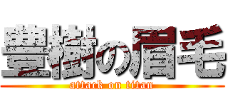 豊樹の眉毛 (attack on titan)