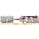 若葉一年五強 ()