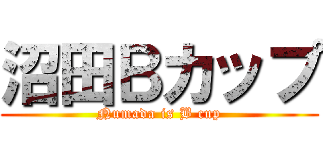 沼田Ｂカップ (Numada is B cup)